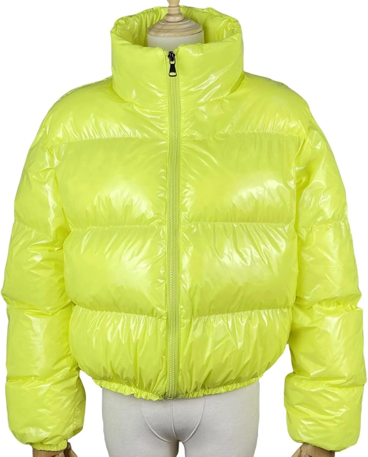 Women's Winter Warm Stand Collar Jackets Slim Fit Cropped Puffer Down Coats Casual Stylish Winter Outerwear